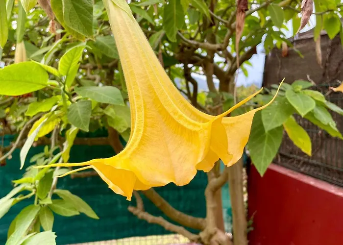 Casa Piscina & Sol Дом отдыха Виго